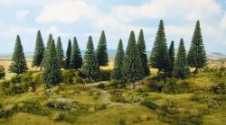 Noch 24643 - Tannen 16 St&uuml;ck, 4 -10 cm