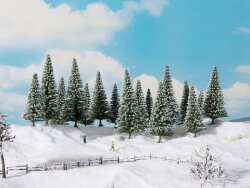Noch 24682 - Schneetannen 6 St&uuml;ck, 14 -18 cm...