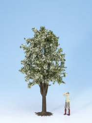 Noch 68022 - Obstbaum wei&szlig; bl&uuml;hend, ca. 30 cm...