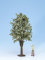 Noch 68022 - Obstbaum wei&szlig; bl&uuml;hend, ca. 30 cm hoch